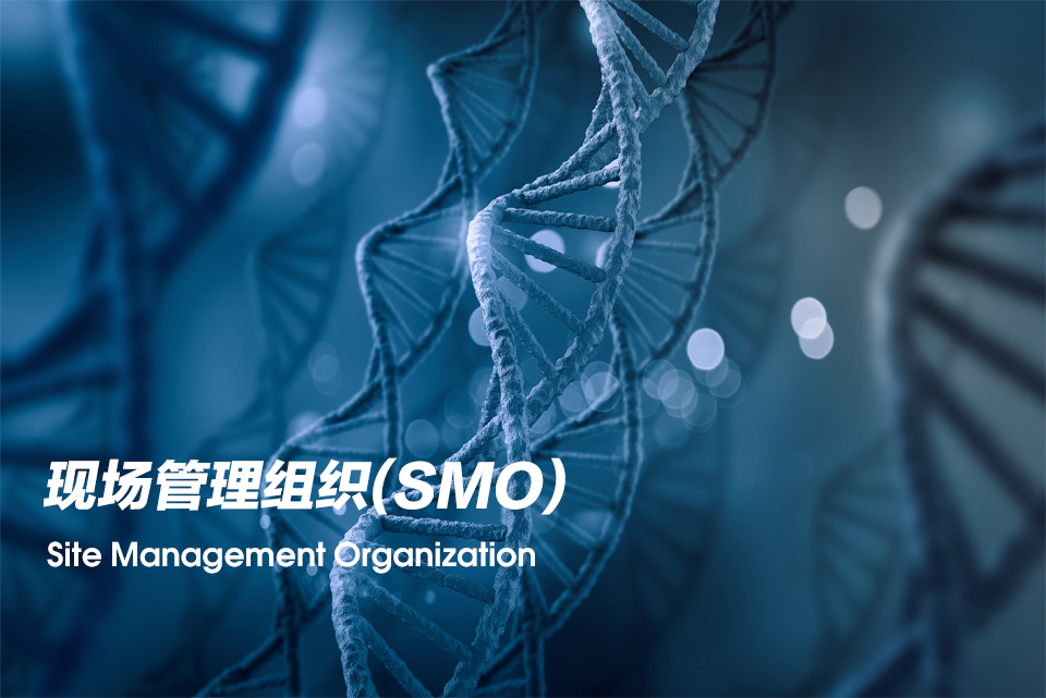 现场管理组织（Site Management Organization，，，SMO）